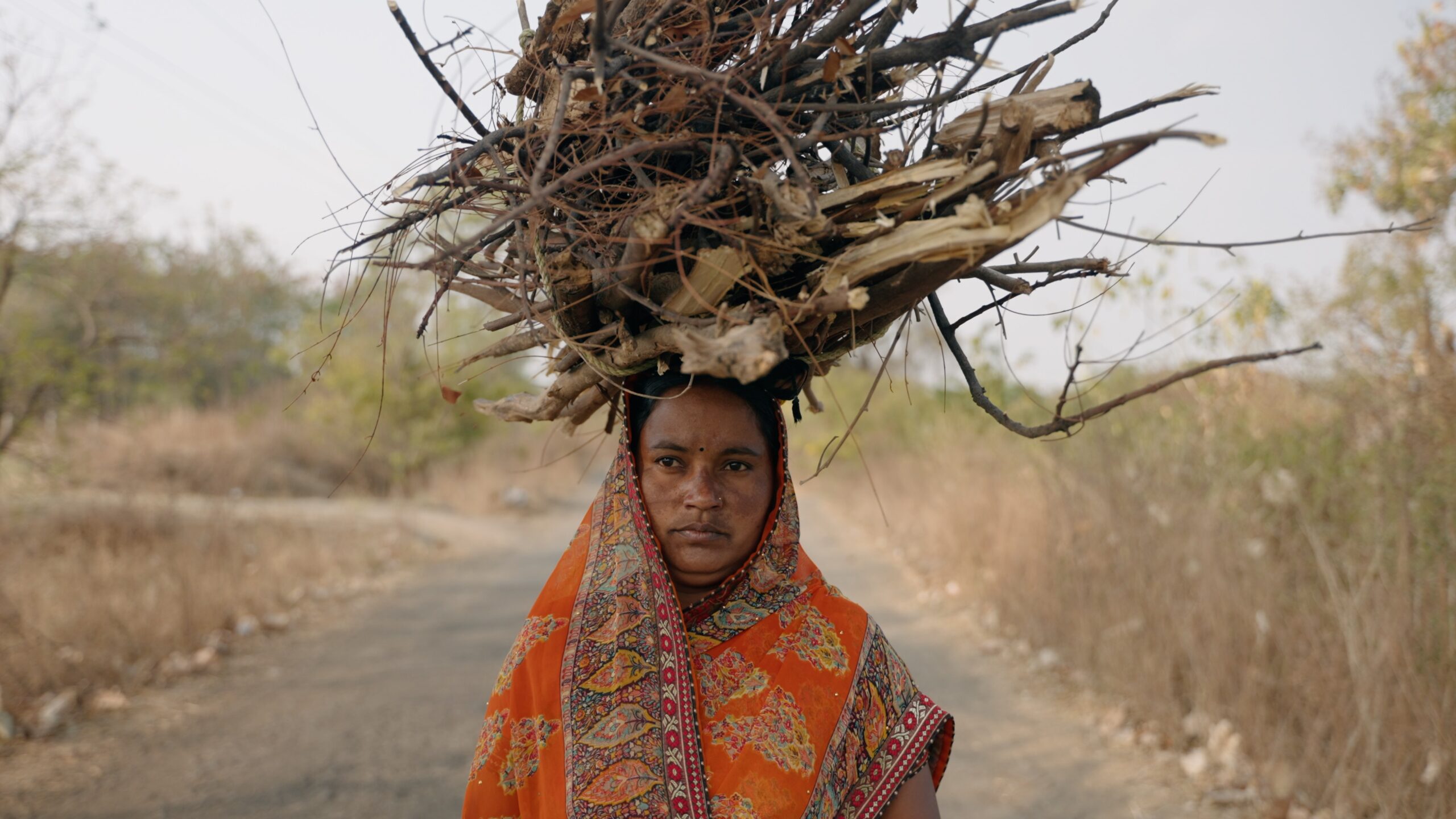 Read more about the article Lessons on climate resilience from Forced to Adapt