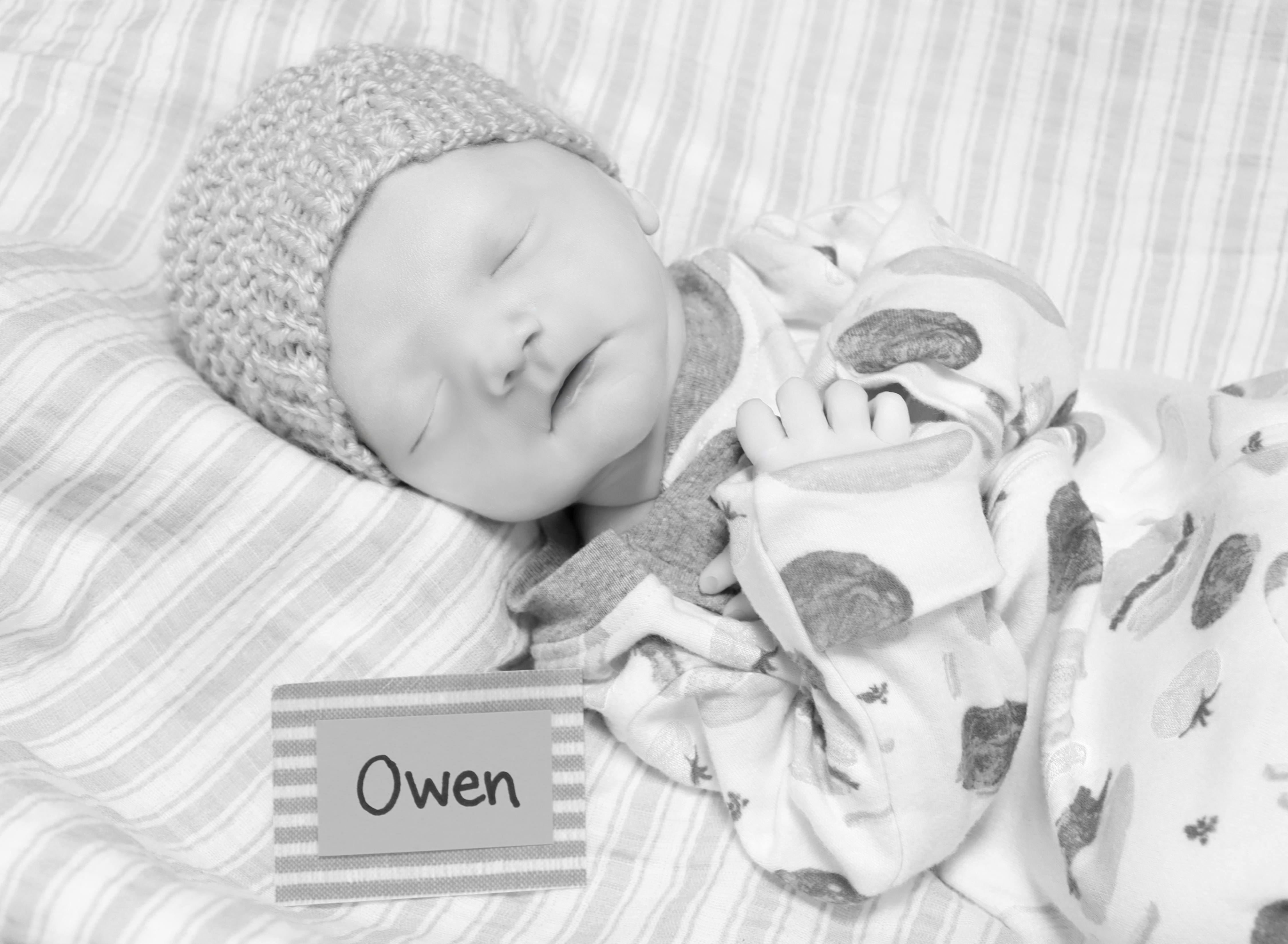 Read more about the article When “Low‑Risk” Isn’t Risky Enough: Why My Son Owen Died at 38 Weeks