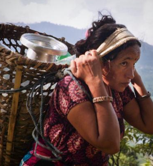 Copy of FTA - Mangrove Family - Sreejith 2 3